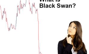 Menghadapi Kejadian Black Swan dalam Dunia Kripto