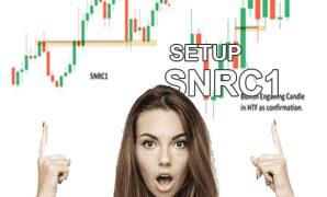 Support Dan Resistance Continuation Type 1 ( SNRC1)